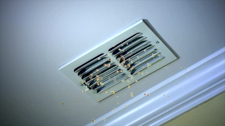 Best Affordable Air Duct Cleaning  in Bayard, NM