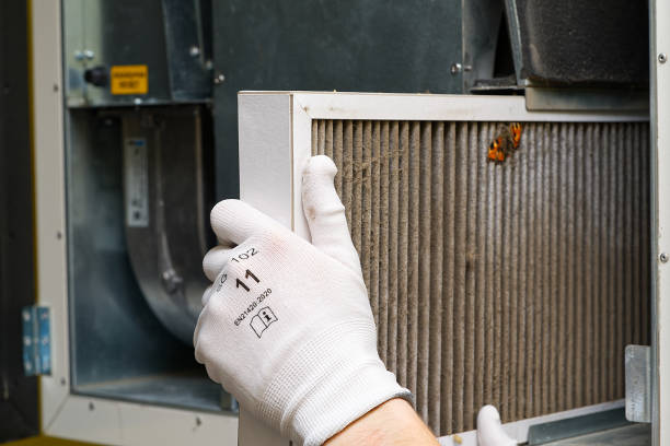 Best Air Vent Cleaning Services  in Bayard, NM