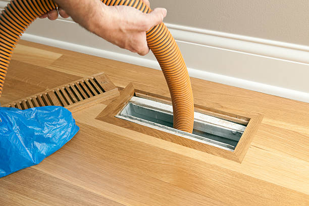 Best Affordable HVAC Duct Cleaning  in Bayard, NM