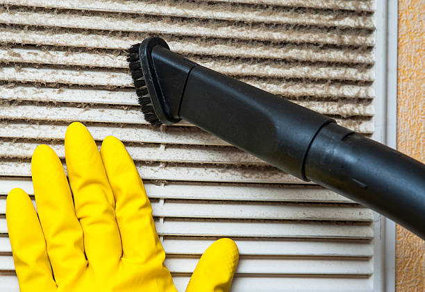 Best Home Air Vent Cleaning  in Bayard, NM
